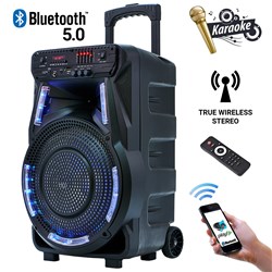 Karaoke zvočni sistem MANTA SPK5033, Bluetooth 5.0, TWS