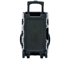 Karaoke zvočni sistem MANTA SPK5033, Bluetooth 5.0, TWS