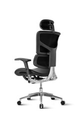 Pisarniški stol Ergovision SMART DELUXE 02 črn
