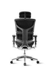 Pisarniški stol Ergovision SMART DELUXE 02 črn