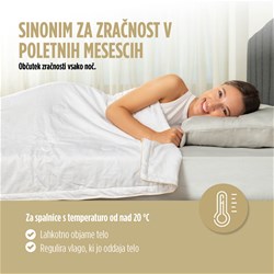 Poletna svilena odeja Vitapur Victoria's Silk Summer, 250x200 cm