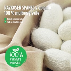 Celoletna svilena odeja Vitapur Victoria's Silk, 250x200 cm