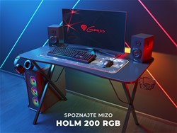 Profesionalna GAMING miza GENESIS HOLM 200 RGB, LED RGB osvetlitev, USB 3.0