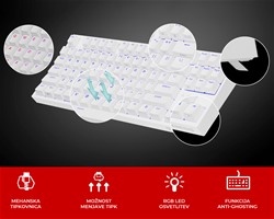 GENESIS THOR 404 TKL gaming tipkovnica, mehanska, RGB LED osvetlitev, bela