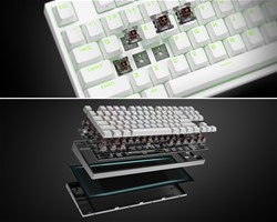 GENESIS THOR 404 TKL gaming tipkovnica, mehanska, RGB LED osvetlitev, bela