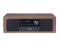 Glasbeni stolp Blaupunkt MS22BT, les