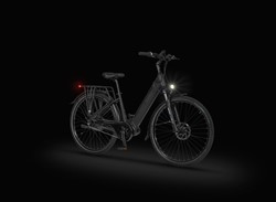 Električno Trekking Kolo Ecobike LX, M-17