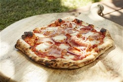 Plinska pizza pečica Cozze 13