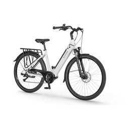 Električno Trekking Kolo Ecobike LX100, L-19
