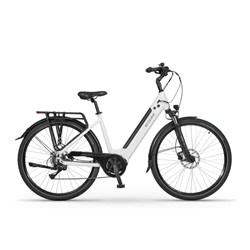 Električno Trekking Kolo Ecobike LX100, L-19