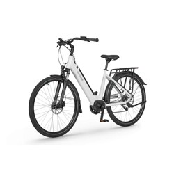 Električno Trekking Kolo Ecobike LX100, L-19