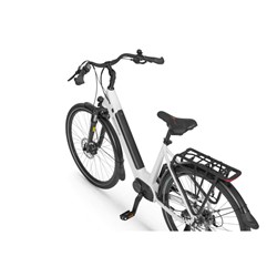Električno Trekking Kolo Ecobike LX100, L-19