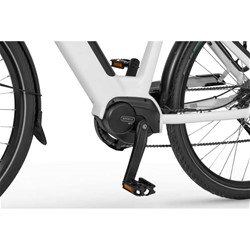 Električno Trekking Kolo Ecobike LX100, L-19