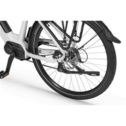 Električno Trekking Kolo Ecobike LX100, L-19