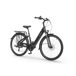 Električno Trekking Kolo Ecobike LX100, L-19