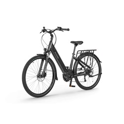 Električno Trekking Kolo Ecobike LX100, L-19