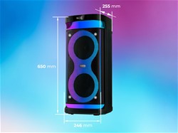 Prenosni zvočnik MANTA SPK0601B100 ARGOS, BT, 100W, TWS, LED, mikrofon+daljinec