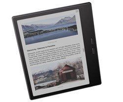 E-bralnik BOOX Go Color7 Gen II, 7
