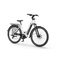 Električno kolo Ecobike LX300 900Wh, M-17