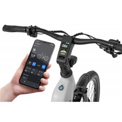 Električno kolo Ecobike LX300 900Wh, M-17