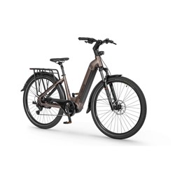 Električno kolo Ecobike LX300 900Wh, L-19