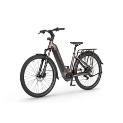 Električno kolo Ecobike LX300 900Wh, L-19