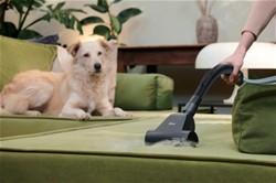 Sesalnik HOOVER HP210P 011