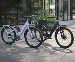 Električno kolo MS ENERGY VELES PLUS, 250W motor, 360Wh baterija, LCD, črno