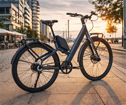 Električno kolo MS ENERGY VELES PLUS, 250W motor, 360Wh baterija, LCD, črno