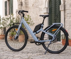 Električno kolo MS ENERGY VELES PLUS, 250W motor, 360Wh baterija, LCD, zlato