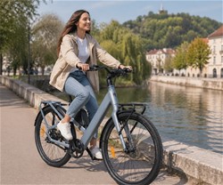 Električno kolo MS ENERGY VELES PLUS, 250W motor, 360Wh baterija, LCD, zlato