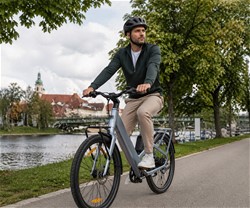 Električno kolo MS ENERGY VELES PLUS, 250W motor, 360Wh baterija, LCD, zlato