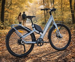 Električno kolo MS ENERGY VELES PLUS, 250W motor, 360Wh baterija, LCD, zlato