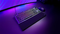 Mehanska tipkovnica VULCAN II TKL PRO 