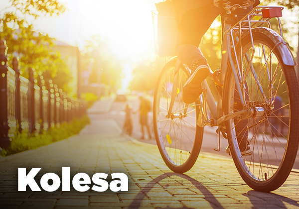Kolesa