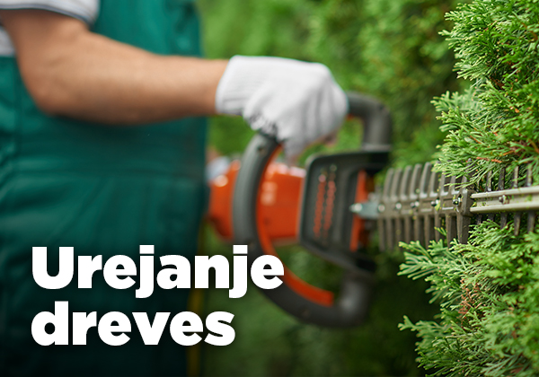 Urejanje dreves
